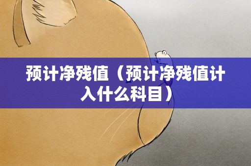 预计净残值（预计净残值计入什么科目）