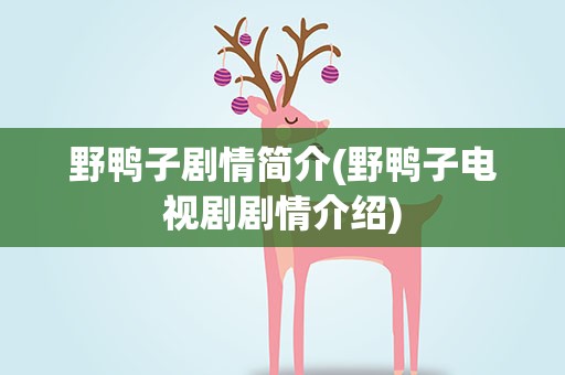 野鸭子剧情简介(野鸭子电视剧剧情介绍)