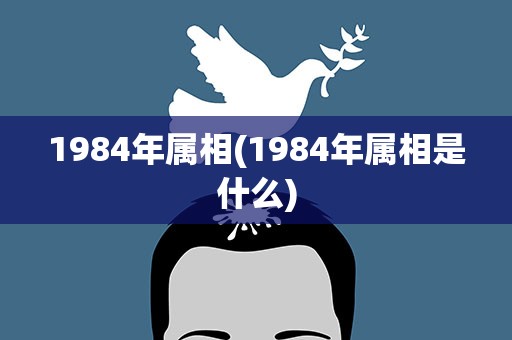 1984年属相(1984年属相是什么)