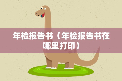 年检报告书（年检报告书在哪里打印）