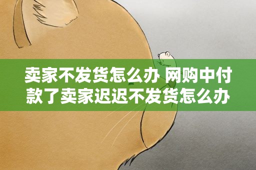 卖家不发货怎么办 网购中付款了卖家迟迟不发货怎么办啊