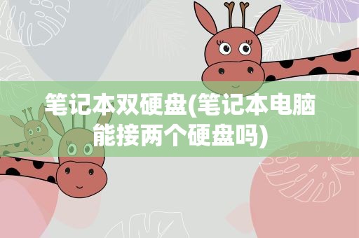 笔记本双硬盘(笔记本电脑能接两个硬盘吗)