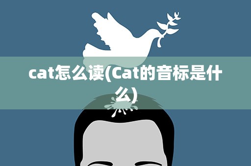 cat怎么读(Cat的音标是什么)