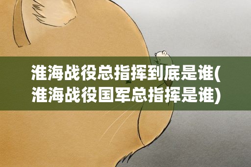 淮海战役总指挥到底是谁(淮海战役国军总指挥是谁)
