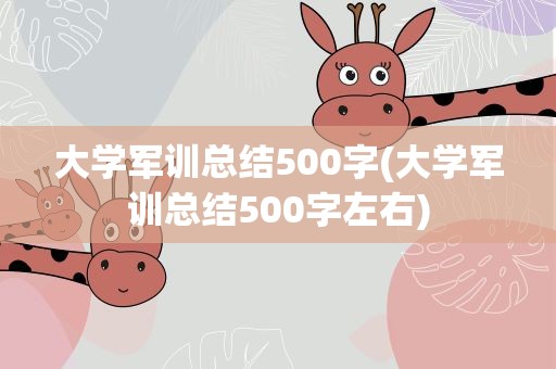 大学军训总结500字(大学军训总结500字左右)