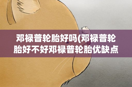 邓禄普轮胎好吗(邓禄普轮胎好不好邓禄普轮胎优缺点)