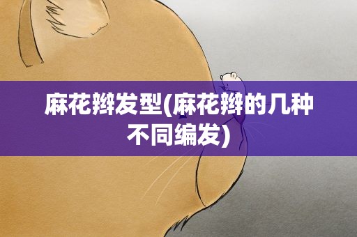 麻花辫发型(麻花辫的几种不同编发)