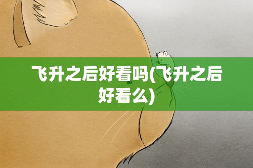 飞升之后好看吗(飞升之后好看么)