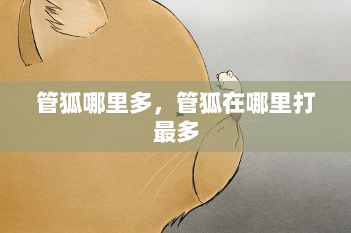 管狐哪里多，管狐在哪里打最多