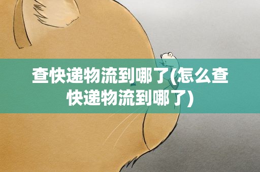 查快递物流到哪了(怎么查快递物流到哪了)