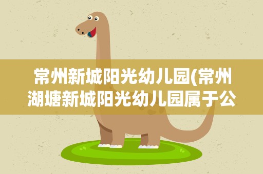 常州新城阳光幼儿园(常州湖塘新城阳光幼儿园属于公立还是私立)