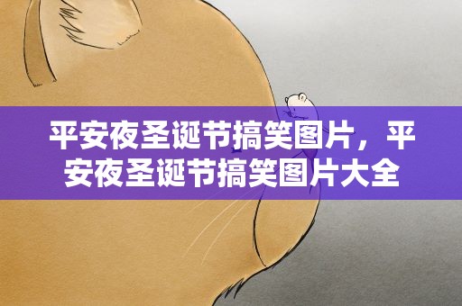 平安夜圣诞节搞笑图片，平安夜圣诞节搞笑图片大全