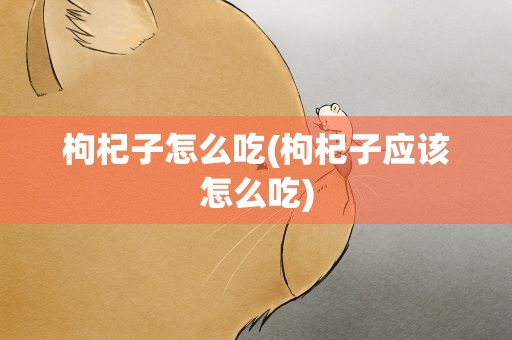 枸杞子怎么吃(枸杞子应该怎么吃)