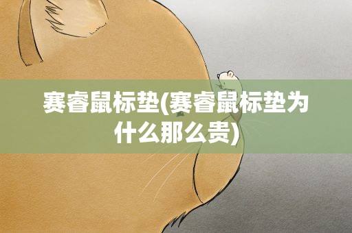 赛睿鼠标垫(赛睿鼠标垫为什么那么贵)