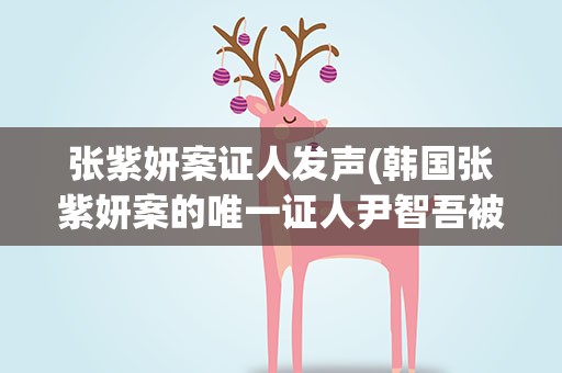 张紫妍案证人发声(韩国张紫妍案的唯一证人尹智吾被捕到底是为什么)