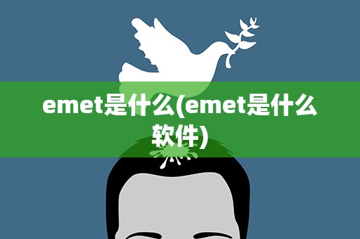 emet是什么(emet是什么软件)