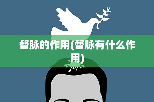 督脉的作用(督脉有什么作用)