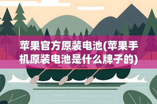 苹果官方原装电池(苹果手机原装电池是什么牌子的)