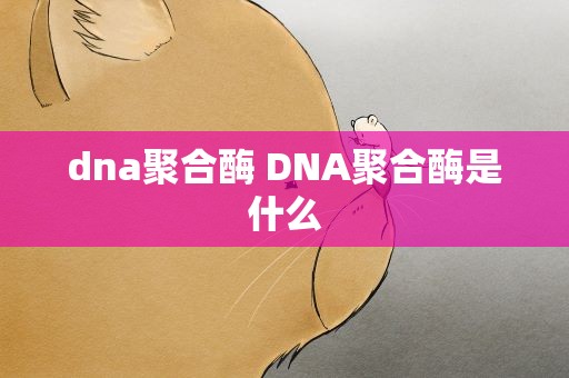 dna聚合酶 DNA聚合酶是什么