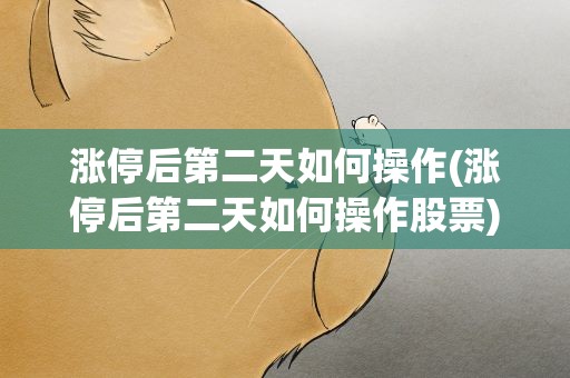 涨停后第二天如何操作(涨停后第二天如何操作股票)