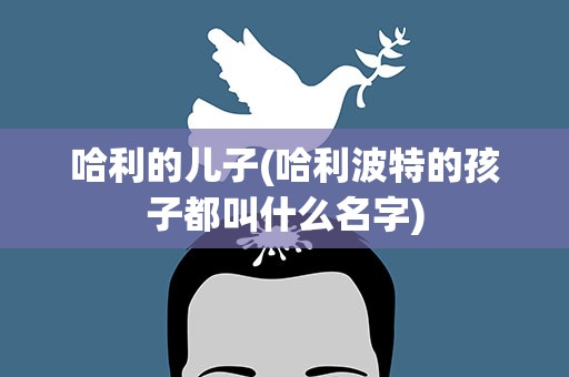 哈利的儿子(哈利波特的孩子都叫什么名字)