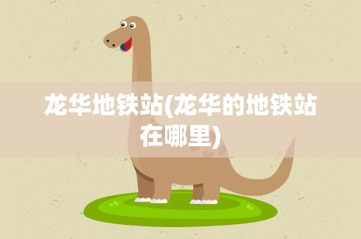 龙华地铁站(龙华的地铁站在哪里)