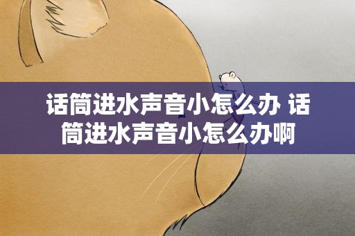 话筒进水声音小怎么办 话筒进水声音小怎么办啊