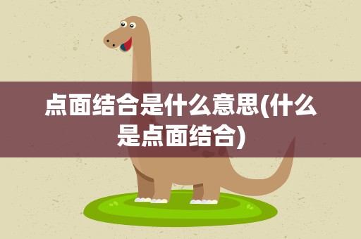 点面结合是什么意思(什么是点面结合)