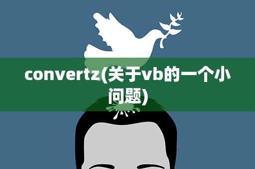 convertz(关于vb的一个小问题)