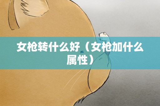 女枪转什么好（女枪加什么属性）