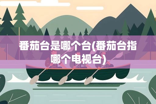 番茄台是哪个台(番茄台指哪个电视台)