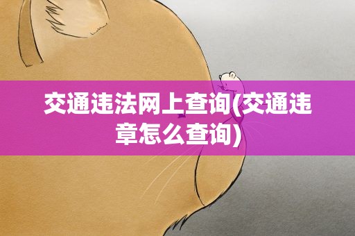 交通违法网上查询(交通违章怎么查询)