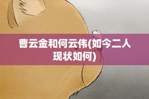 曹云金和何云伟(如今二人现状如何)