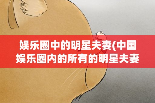 娱乐圈中的明星夫妻(中国娱乐圈内的所有的明星夫妻)