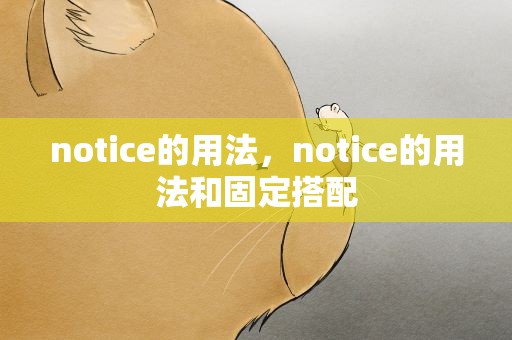 notice的用法，notice的用法和固定搭配