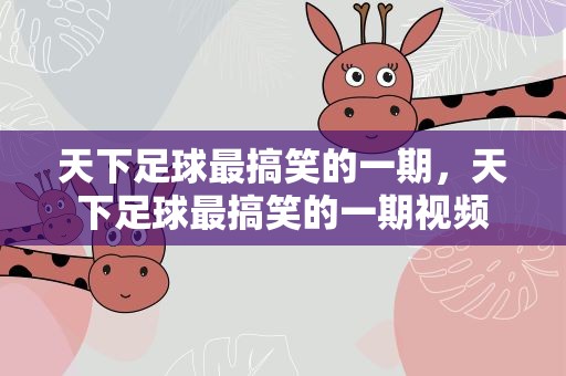 天下足球最搞笑的一期，天下足球最搞笑的一期视频