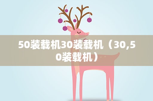 50装载机30装载机（30,50装载机）