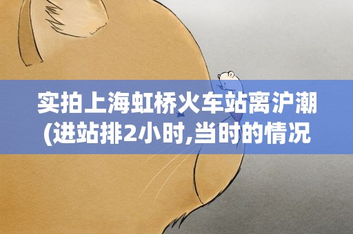 实拍上海虹桥火车站离沪潮(进站排2小时,当时的情况是怎样的)