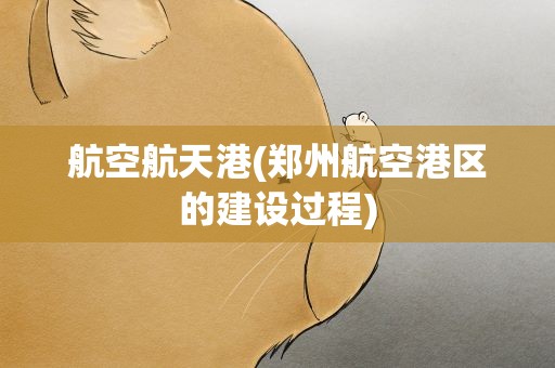 航空航天港(郑州航空港区的建设过程)