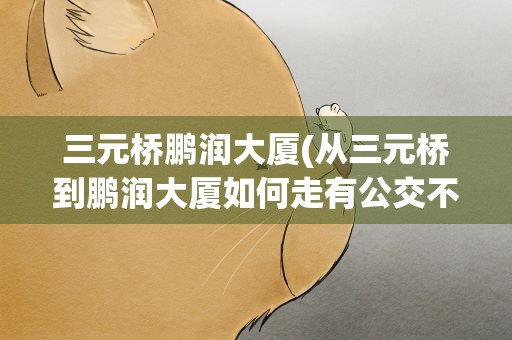 三元桥鹏润大厦(从三元桥到鹏润大厦如何走有公交不)