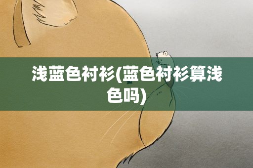 浅蓝色衬衫(蓝色衬衫算浅色吗)