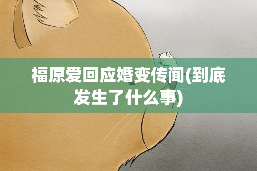 福原爱回应婚变传闻(到底发生了什么事)