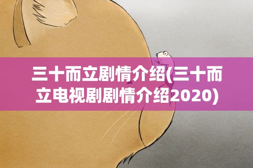 三十而立剧情介绍(三十而立电视剧剧情介绍2020)