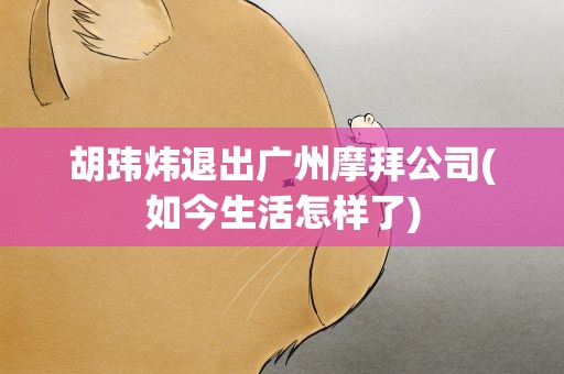 胡玮炜退出广州摩拜公司(如今生活怎样了)