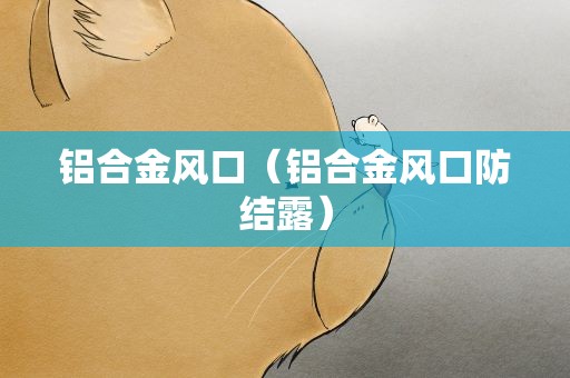 铝合金风口（铝合金风口防结露）