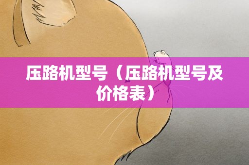 压路机型号（压路机型号及价格表）