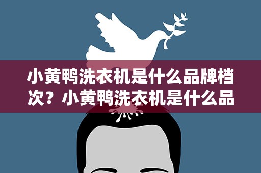 小黄鸭洗衣机是什么品牌档次？小黄鸭洗衣机是什么品牌档次的
