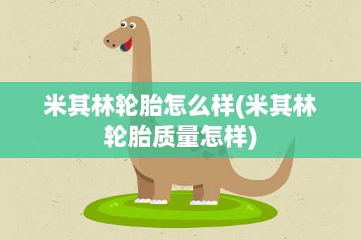 米其林轮胎怎么样(米其林轮胎质量怎样)
