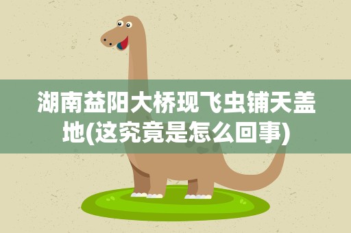 湖南益阳大桥现飞虫铺天盖地(这究竟是怎么回事)