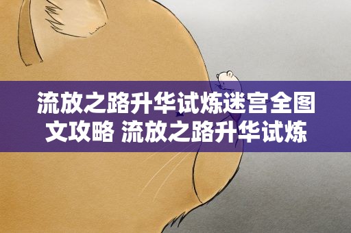 流放之路升华试炼迷宫全图文攻略 流放之路升华试炼迷宫图文攻略 怎么过关